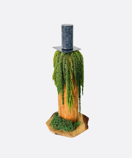 Świecznik wood&plants