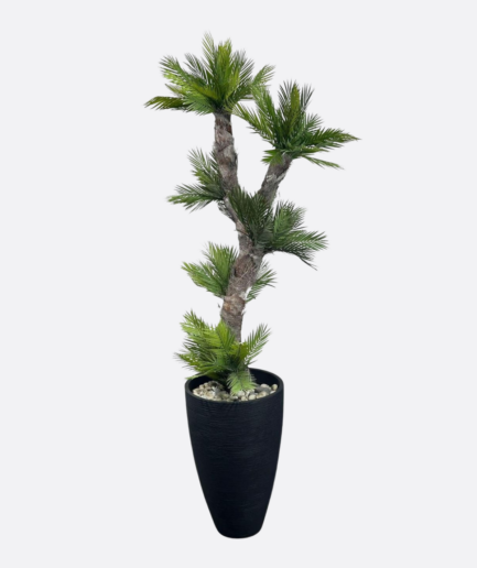 Tropikalna Palma na naturalnym pniu