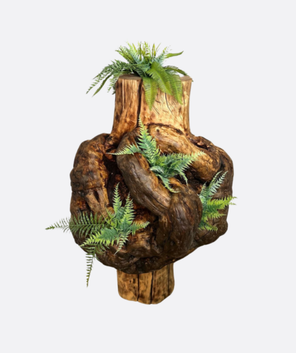 Ozdobny galas z paprociami