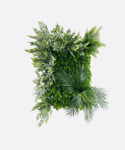 Ogród wertykalny Fern Wood