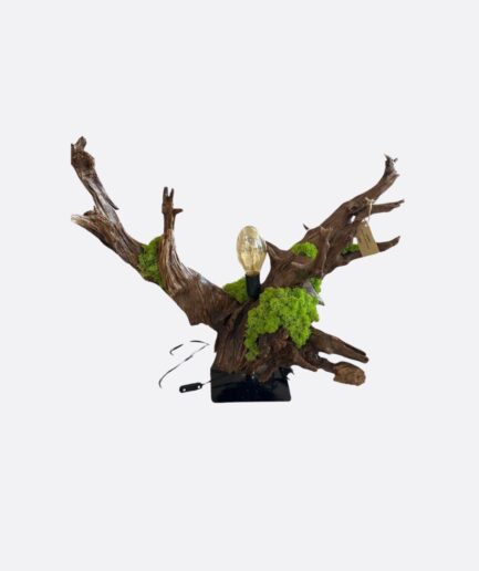 Lampa Root of the old Oak