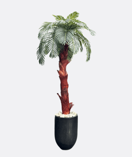 Palma w donicy na naturalnym pniu